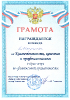 Квиз-игра по финансовой грамотности